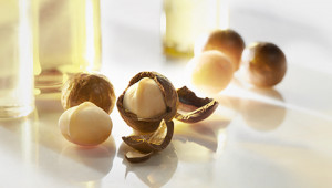 Dr. Hauschka: Ingredients A to Z Dr. Hauschka: Ingredients A to Z