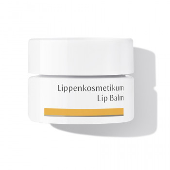 Dr. Hauschka Lip Balm: regenerative lip balm for cracked and chapped lips Soothes and regenerates: Dr. Hauschka Lip Balm