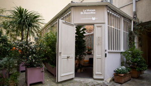 Dr. Hauschka: Estheticians addresses Dr. Hauschka: Estheticians addresses