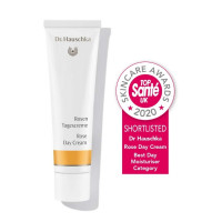 Rose Day Cream Rose Day Cream