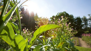 Dr. Hauschka FAQ: Questions on the environment Dr. Hauschka FAQ: Questions on the environment